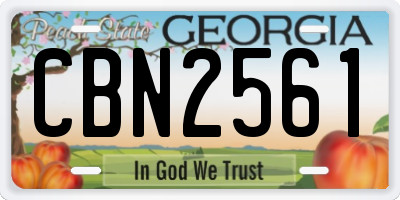 GA license plate CBN2561