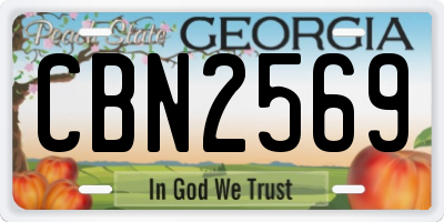 GA license plate CBN2569