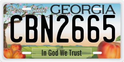 GA license plate CBN2665