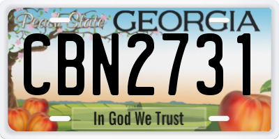 GA license plate CBN2731