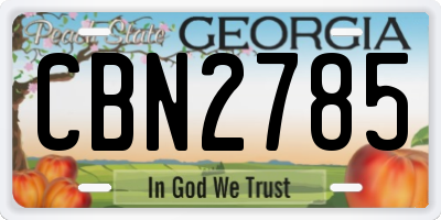 GA license plate CBN2785