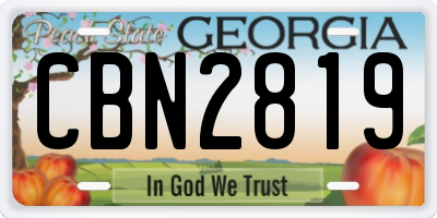 GA license plate CBN2819