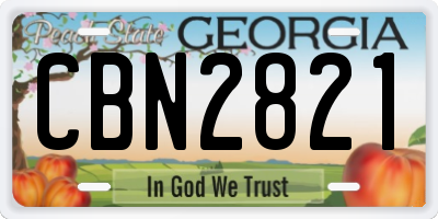 GA license plate CBN2821