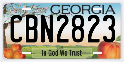 GA license plate CBN2823