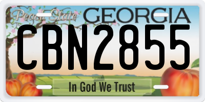 GA license plate CBN2855