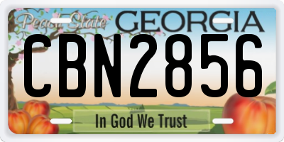 GA license plate CBN2856