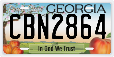 GA license plate CBN2864