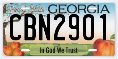 GA license plate CBN2901