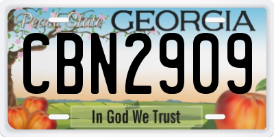 GA license plate CBN2909