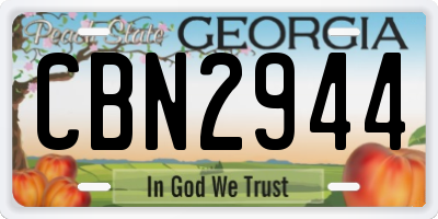 GA license plate CBN2944