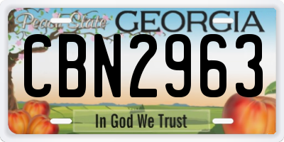 GA license plate CBN2963
