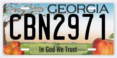 GA license plate CBN2971