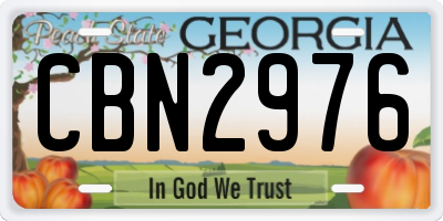GA license plate CBN2976