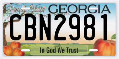 GA license plate CBN2981