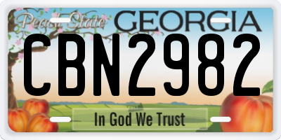 GA license plate CBN2982