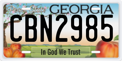 GA license plate CBN2985