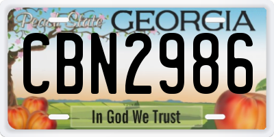 GA license plate CBN2986