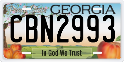 GA license plate CBN2993