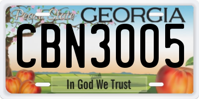 GA license plate CBN3005