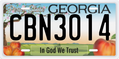 GA license plate CBN3014