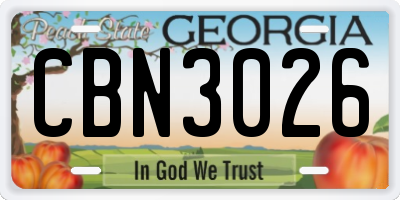 GA license plate CBN3026