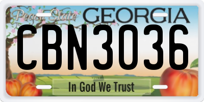 GA license plate CBN3036