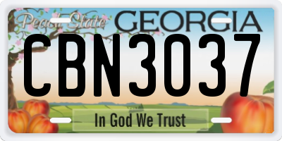 GA license plate CBN3037