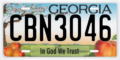 GA license plate CBN3046