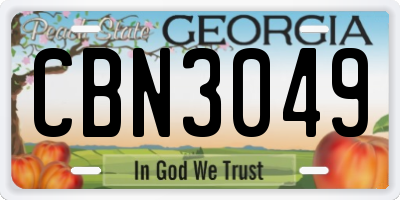 GA license plate CBN3049