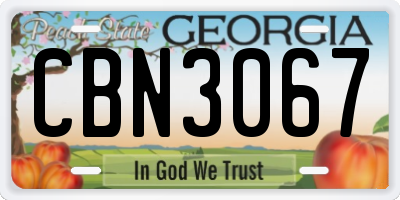 GA license plate CBN3067