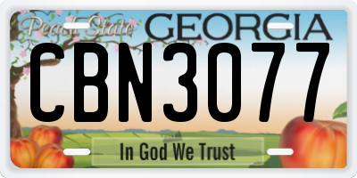 GA license plate CBN3077