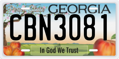 GA license plate CBN3081