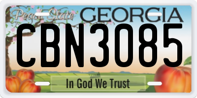 GA license plate CBN3085