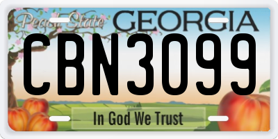 GA license plate CBN3099