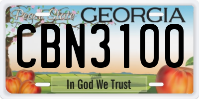 GA license plate CBN3100