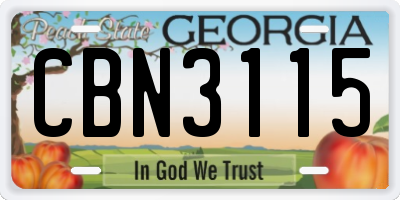 GA license plate CBN3115