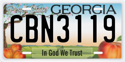 GA license plate CBN3119