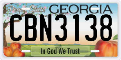 GA license plate CBN3138