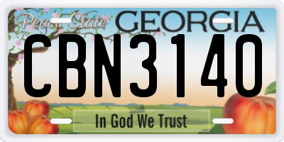 GA license plate CBN3140