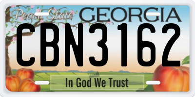 GA license plate CBN3162