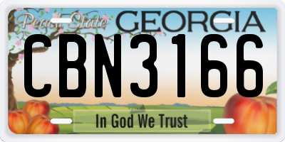 GA license plate CBN3166