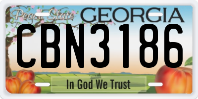 GA license plate CBN3186