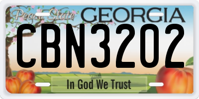 GA license plate CBN3202
