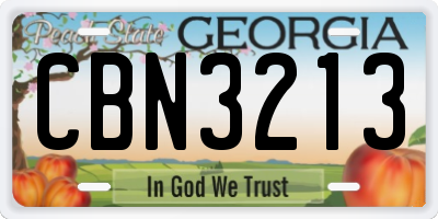 GA license plate CBN3213
