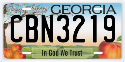 GA license plate CBN3219