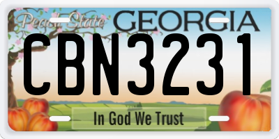 GA license plate CBN3231