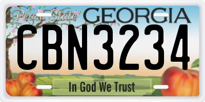 GA license plate CBN3234