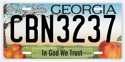 GA license plate CBN3237