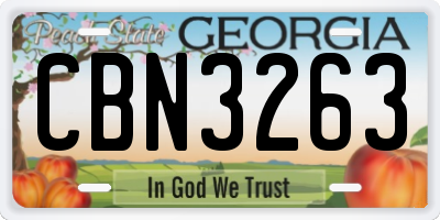 GA license plate CBN3263