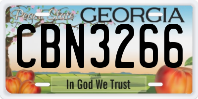 GA license plate CBN3266
